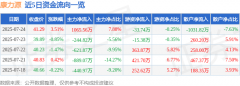 康力源（301287）7月24日主力资金净买入106556万元